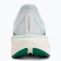 Buty do biegania damskie Nike Pegasus 42 white/malachite/metallic silver 6