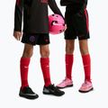 Spodenki piłkarskie dziecięce Nike Paris Saint-Germain Strike black/hyper royal/global red/global red