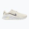 Buty treningowe męskie Nike Flex Train phantom/white/sail/pencil point