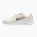 Buty treningowe męskie Nike Flex Train phantom/white/sail/pencil point 2