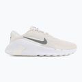 Buty treningowe męskie Nike Flex Train phantom/white/sail/pencil point 2