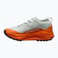 Buty do biegania męskie Nike ACG Zegama Trail GORE-TEX light silver/safety orange/summit white 2