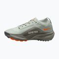 Buty do biegania damskie Nike ACG Pegasus Trail GORE-TEX Light Silver/Light Army/Light Silver 2