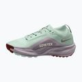 Buty do biegania damskie Nike ACG Pegasus Trail GORE-TEX Barely Green/Silver Lilac/Light Bone 2