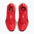 Buty do biegania męskie Nike ACG Zegama Trail light crimson/light orewood brown/black/black 4
