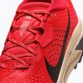 Buty do biegania męskie Nike ACG Zegama Trail light crimson/light orewood brown/black/black 5
