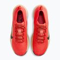 Buty do biegania męskie Nike ACG Pegasus Trail GORE-TEX Light Crimson/Linen/Black 5