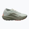 Buty do biegania męskie Nike ACG Pegasus Trail GORE-TEX Light Silver/Light Army/Light Silver