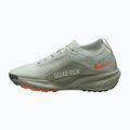 Buty do biegania męskie Nike ACG Pegasus Trail GORE-TEX Light Silver/Light Army/Light Silver 2