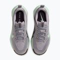 Buty do biegania damskie Nike Wildhorse 10 silver lilac/tattoo/barely green 4