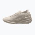Buty do biegania męskie Nike ACG Pegasus Trail GORE-TEX Cream Ii/Light Orewood Brown 2