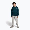 Bluza dziecięca New Balance Brush Back Small Logo Hoodie medusa green 2