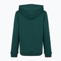Bluza dziecięca New Balance Brush Back Small Logo Hoodie medusa green 7