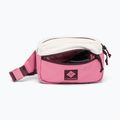 Saszetka nerka Columbia Trail Traveler Hip sea salt/rosette/moonvista 3