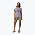 Koszulka damska Columbia Parsons Point Scoop Tee lavender pearl heather/canopy view 2