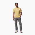 Koszulka męska Columbia CSC Basic Logo Tee sand dune/gem columbia 2