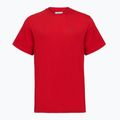 Koszulka męska Columbia CSC Basic Logo Back Tee mountain red/linework c badge