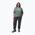 Longsleeve damski Columbia Parsons Point Graphic Tee sedona sage heather/all terrain 2