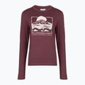 Longsleeve damski Columbia Parsons Point Graphic Tee antique mauve heather/all terrain 6