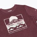 Longsleeve damski Columbia Parsons Point Graphic Tee antique mauve heather/all terrain 8