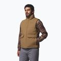 Bezrękawnik męski Columbia Landroamer Puffer delta 5