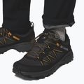 Spodnie wspinaczkowe męskie Columbia Essential Hike Warm black 11