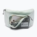 Saszetka nerka Columbia Zigzag II Hip Pack 1 l sedona sage/tea light 4