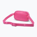 Saszetka nerka Columbia Helvetia II Hip Pack 1 l nico/dark stone 2