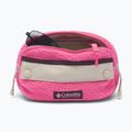 Saszetka nerka Columbia Helvetia II Hip Pack 1 l nico/dark stone 3