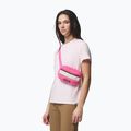 Saszetka nerka Columbia Helvetia II Hip Pack 1 l nico/dark stone 5