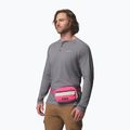 Saszetka nerka Columbia Helvetia II Hip Pack 1 l nico/dark stone 7