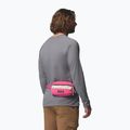 Saszetka nerka Columbia Helvetia II Hip Pack 1 l nico/dark stone 8