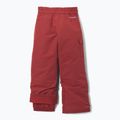 Spodnie narciarskie dziecięce Columbia Bugaboo IV red oxide 2