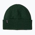Czapka zimowa Patagonia Brodeo treeline green