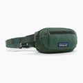Saszetka nerka Patagonia Terravia Mini Hip canopy green