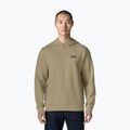 Bluza męska Patagonia Daily Hoody weathered stone
