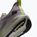 Buty do biegania damskie Nike Pegasus 42 GORE-TEX particle rose/silver lilac/fennel/sail 6