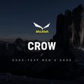 Buty wysokogórskie męskie Salewa Crow GTX cactus/sulphur spring 12