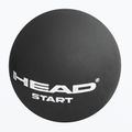 Piłka do squasha HEAD Start Squash Ball black 2