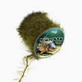 Plecionka karpiowa Katran Mimicker Braided Hook Links green
