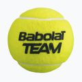 Piłki tenisowe Babolat Team 4 szt. yellow 3