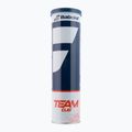 Piłki tenisowe Babolat Team Clay 4 szt. 2