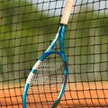 Rakieta tenisowa Babolat Evo Drive blue 7