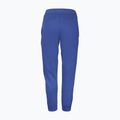 Spodnie męskie Babolat Exercise Jogger sodalite blue 2
