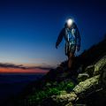 Latarka czołowa Petzl Actik red 5