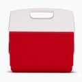 Lodówka turystyczna Igloo Playmate Elite 15 l red star 3