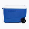 Lodówka turystyczna Igloo 38 QT Wheelie Cool Hard Sided 36 l majestic blue 2