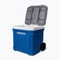 Lodówka turystyczna Igloo Latitude 60 Qt 56 l indigo blue 4