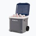 Lodówka turystyczna Igloo Maxcold Latitude 62 Roller 59 l carbonite/aegean sean 16