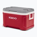 Lodówka turystyczna Igloo Latitude 52 49 l industrial red 4